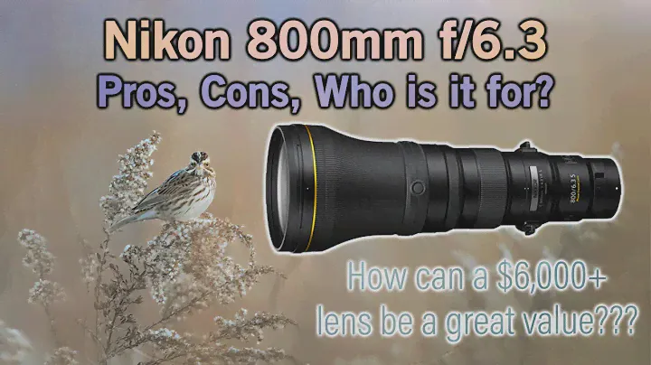 Nikon 800mm f/6. 3 Pros, Cons, Who is is for?